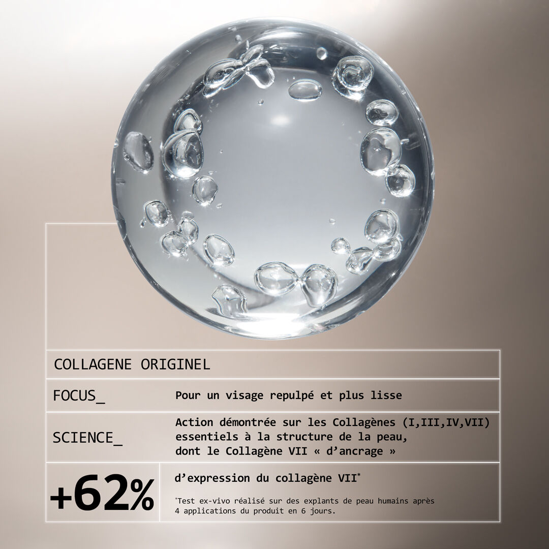 Maître de la structure